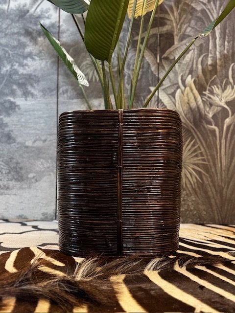 Image 1 of Cesta para plantas de lápiz de caña en estilo Crespi