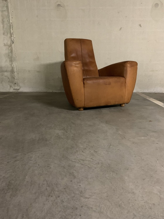 Image 1 of « LONGA » Gerard van den Berg avec harnais en cuir/cuir de buffle.