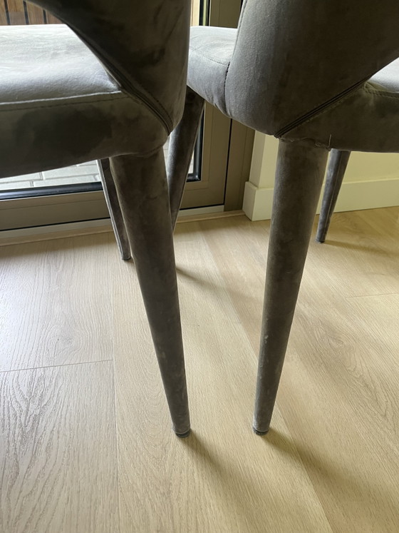Image 1 of Silla sagrada Pols Potten de terciopelo gris