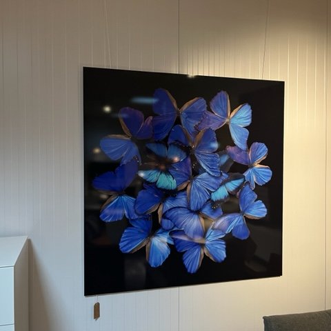 Image 1 of Decoración de pared con mariposas de Mondi Art