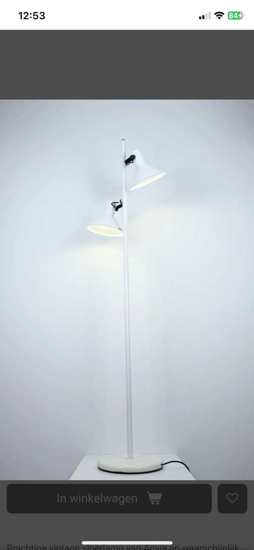 Anvia floor lamp