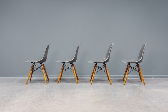 Image 1 of Sedie Eames DSW Elephant in fibra di vetro grigia, 6x