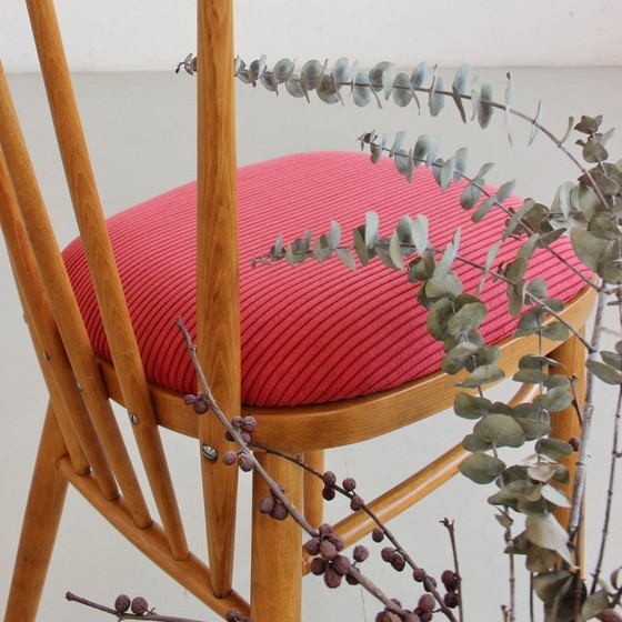 Image 1 of Een paar stoelen uit het midden van de 20e eeuw, Tsjecho-Slowakije, volledig gerestaureerd en opnieuw bekleed, vintage jaren 60.