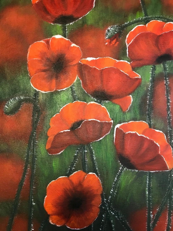 Image 1 of Pintura al óleo - Irina Gauss - Amapolas en verano