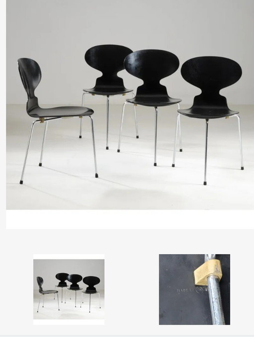 4xAnt 3100 Arne Jacobsen Fritz Hansen anni 60