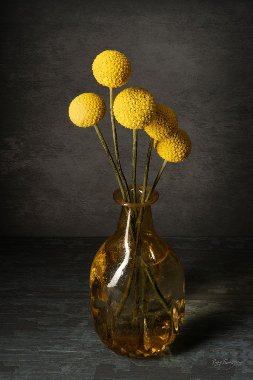 Flower Power 2025 | Dibond with Plexiglas 4/25