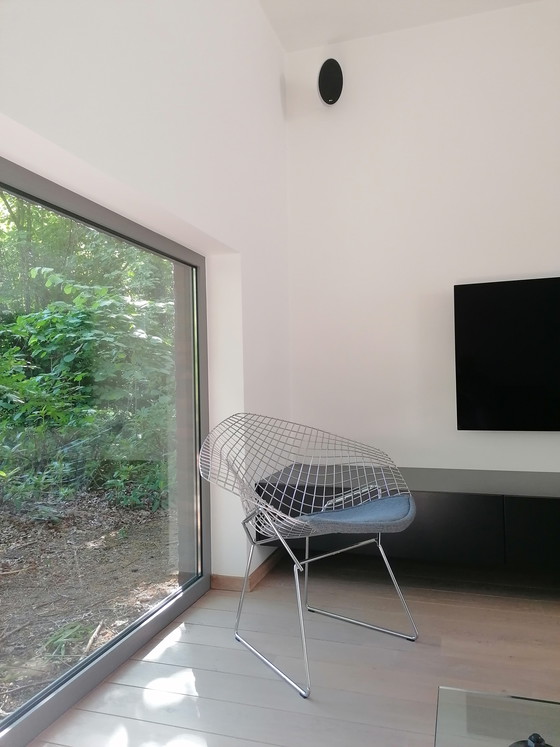 Image 1 of Sedia Diamond Knoll Bertoia
