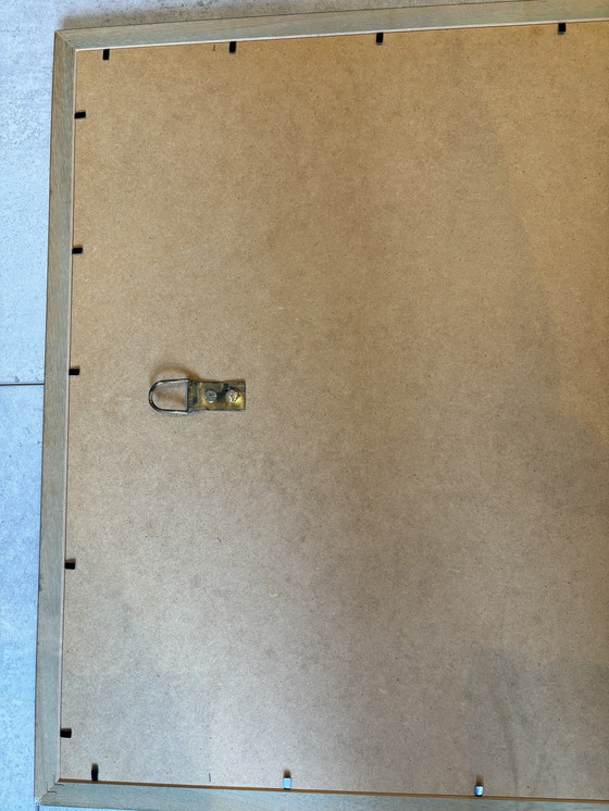 Image 1 of ¡Primavera!