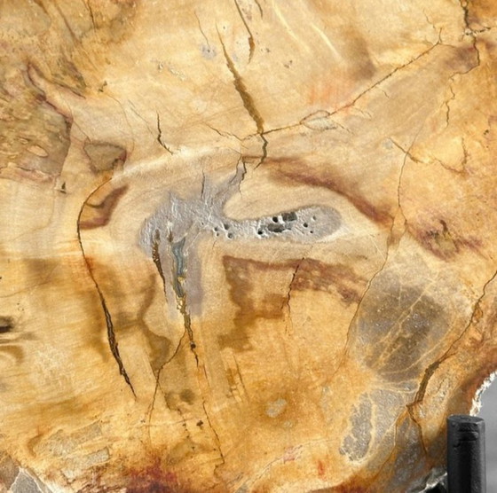 Image 1 of Bois fossilisé de Sooka, fabrication sur mesure standard (nouveau)