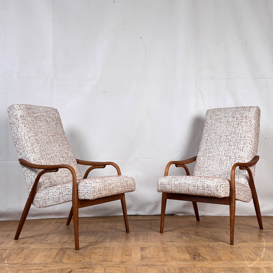 Image 1 of 2x Antonin Suman Sessel für TON 1960er Jahre