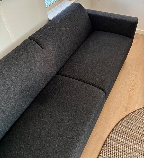 Image 1 of Artifort Mare 2.5-seater