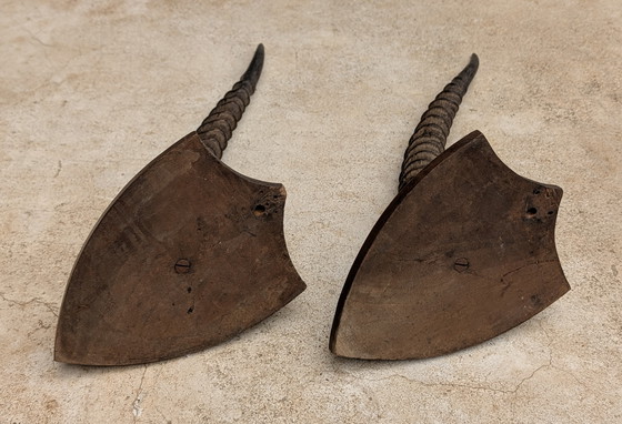 Image 1 of Set of Gazelle horns