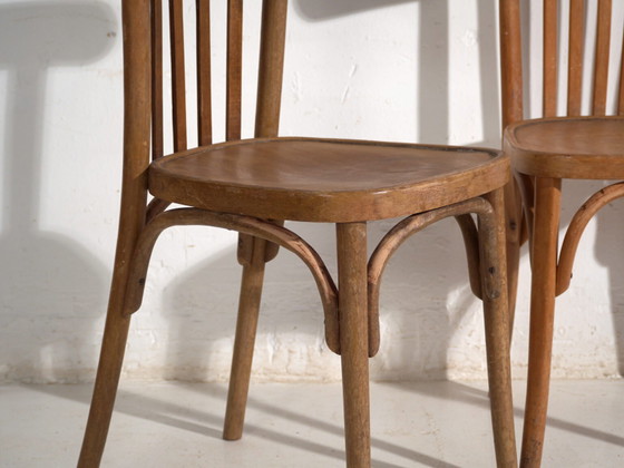 Pair of Thonet style bentwood chairs with low back – Central Europe, circa 1920 – Dining chairs (photo 24 of 40)