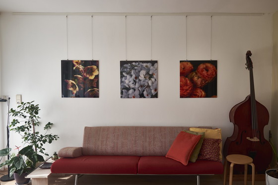 Image 1 of Splendore floreale