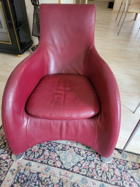 Montis Loge Poltrona – Pelle Rosso Bordeaux – Gerard Van Den Berg – Poltrone, Leather, Metal (photo 4 of 13)