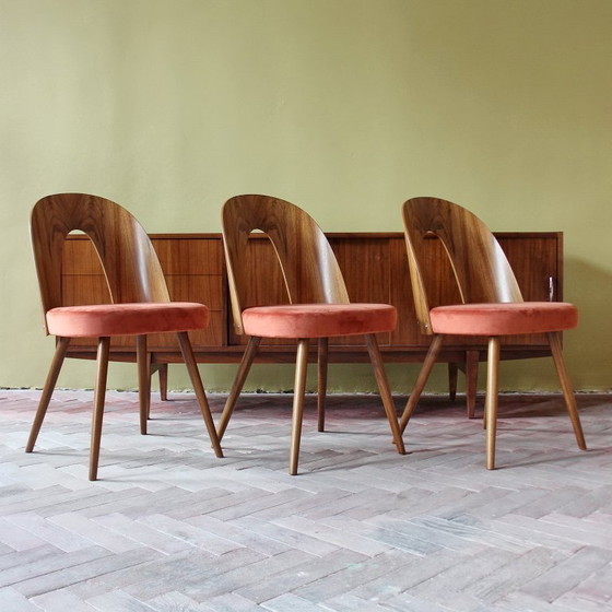 Image 1 of Sillas icónicas de Antonín Šuman con respaldos curvos chapados en madera, estilo moderno de mediados de siglo, década de 1960.