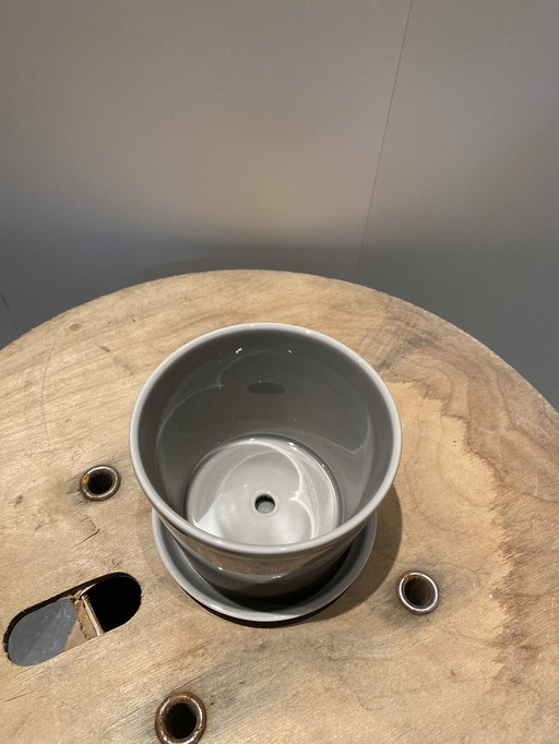 Hay botanical pot and saucer