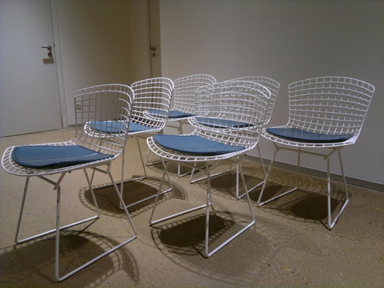 Knoll Bertoia Side Chairs – Eetkamerstoelen, Metal (photo 3 of 8)