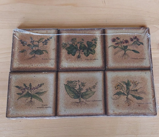 Image 1 of 16 confezioni da 6 piastrelle da parete in ceramica vintage con stampa botanica, anni '70
