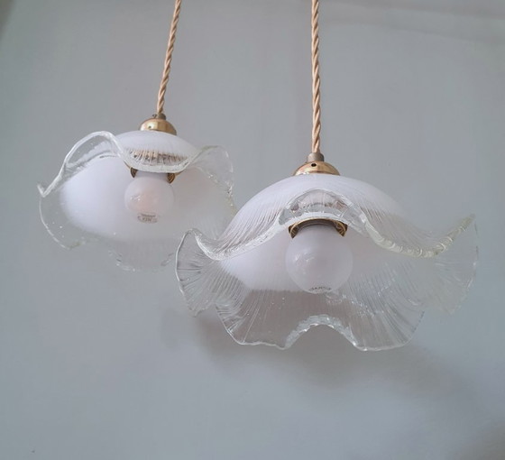 Set di 2 lampade a sospensione vintage in vetro bianco satinato, forma floreale, texture – Metal (photo 15 of 23)
