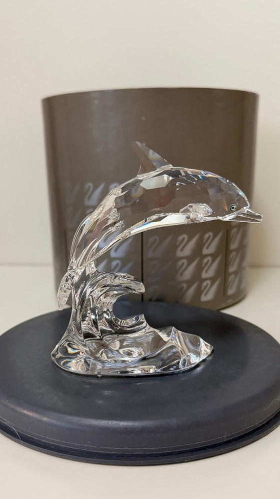 Image 1 of Swarovski "Dolphin on a Wave" con scatola (190365, Collezione "South Sea") - "Dolphin on a Wave" / "Dauphin sur une vague"