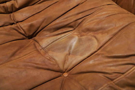 Image 1 of Perfect Rich Patinated Togo in Original Natural Leather by Michel Ducaroy - Ligne Roset