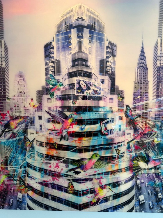 Image 1 of Joseph Klibanski Altos vuelos