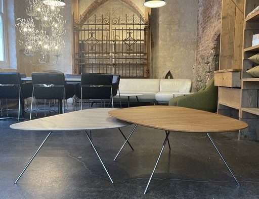 2 Leolux Liliom XL coffee table set oak