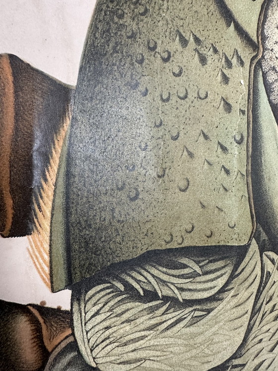 Image 1 of Carte scolaire vintage en lin XL - le homard