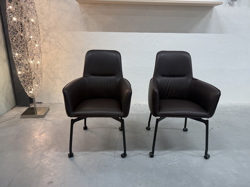 2 Leolux Gyon Hochstühle Noli Ramo