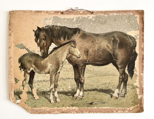 Illustrazione di un antico grafico scolastico, fronte-retro, cavallo/puledro e mucca/vitello, litografia, vita in fattoria, shab