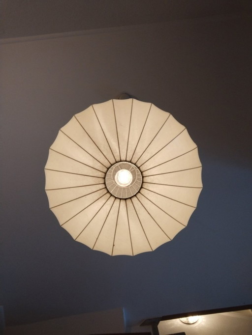 Grote Cocoon tafel-/vloerlamp met gouden rand (55 cm) – jaren 60 – toegeschreven aan Wauer – zeldzame grote versie