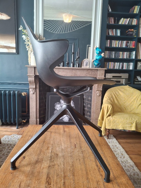 Image 1 of 6 chaises CHISTERA de Roche Bobois