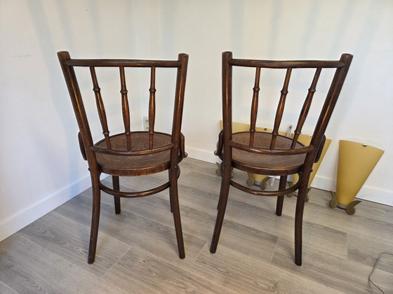 Image 1 of Thonet Mudson J. & J. Kohn Chaises de bistrot en bois courbé