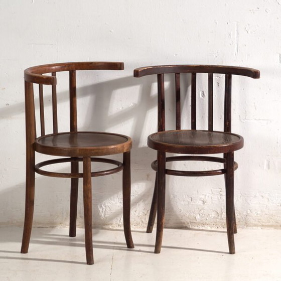 Antike Sessel im Thonet-Stil aus Bugholz – Mitteleuropa, circa 1930 - 2er-Set Stühle #3 (photo 5 of 40)