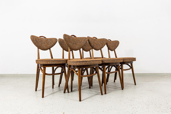 Image 1 of Satz von 6 Esszimmerstühlen Nr. 124 von H&J Kurmanowicz, Polen, 1950er Jahre