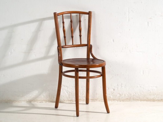 Sedie antiche in legno curvato stile Thonet – Europa Centrale, c. 1930 – Set di 4 #8 – Sedie da pranzo (photo 37 of 40)