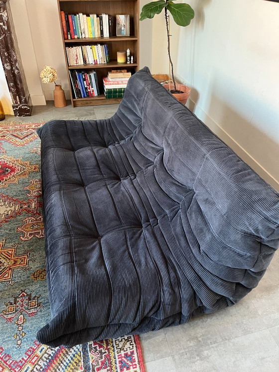 Togo 3-Seater Sofa in Blue Corduroy Attributed to Michel Ducaroy for Ligne Roset – 3-5 seaters, Velvet (photo 5 of 6)