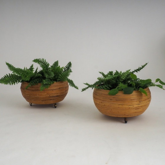 Pair of Italian Mid-Century Pencil-Reed Rattan Planters Attributed to Vivai Del Sud – Plant pot (photo 6 of 23)