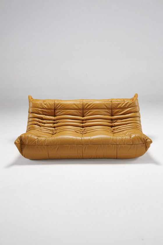 Image 1 of Togo-Set von Michel Ducaroy für Ligne Roset, Frankreich, 1970er Jahre