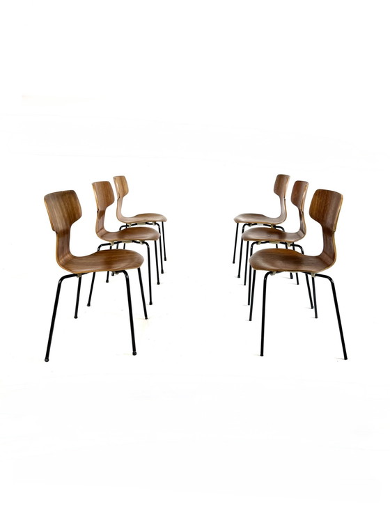 Image 1 of 6x modèle vintage 3103 'Hammer', Fritz Hansen '60