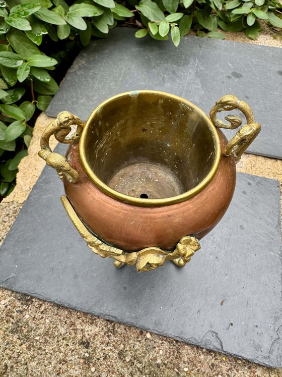 Kupfer-Bronze-Pflanzgefäß aus dem 19. Jahrhundert – Dekorative Objekte, Messing (photo 5 of 10)