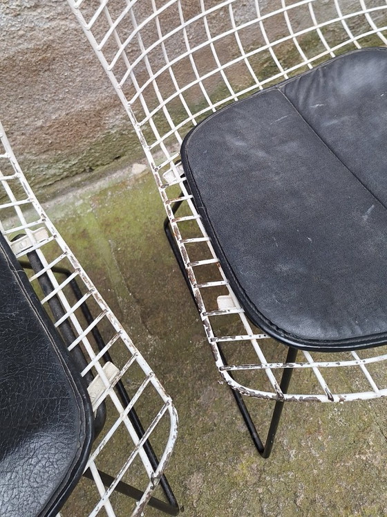 Image 1 of Set van 4 draadstoelen van Harry Bertoia, jaren 60.