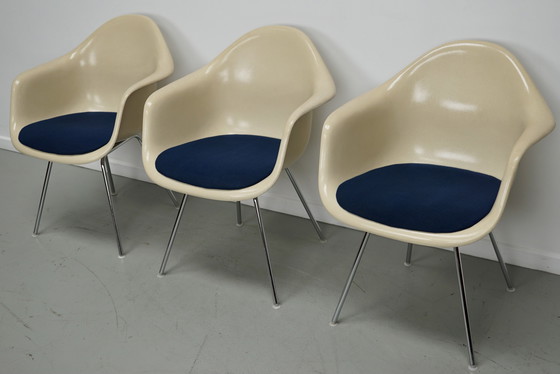 Image 1 of Ensemble de trois fauteuils DAX en fibre de verre parchemin Eames pour Herman Miller / Vitra