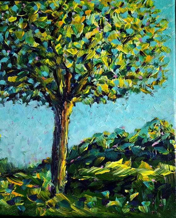 Image 1 of Manou Claire - Hacia la luz