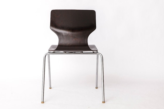 Image 1 of 6 Flötotto Pagwood Chairs – German Design Classic, 1970s, Chrome & Plywood