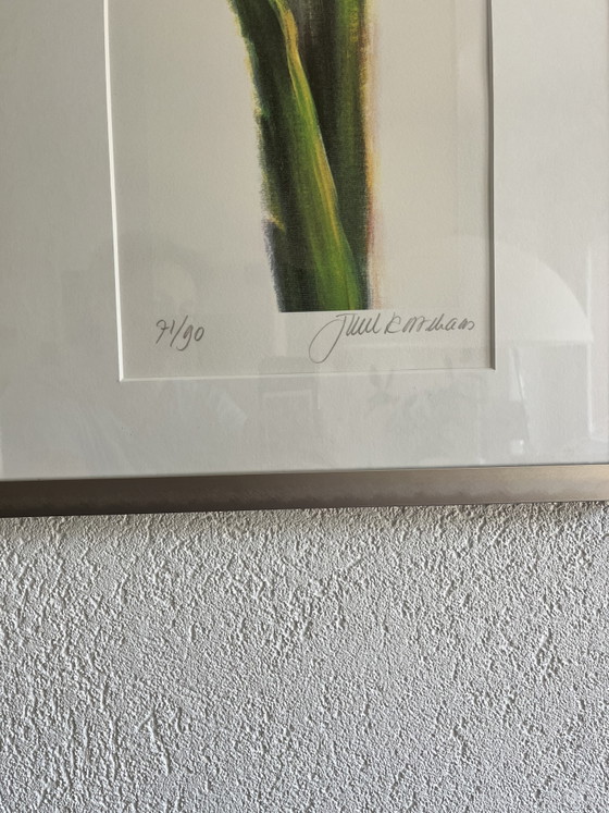 3 Signed Amaryllis Works by Juul Kortkaas – 71/90 – Framed – Lithographs & prints, Paper (photo 5 of 7)
