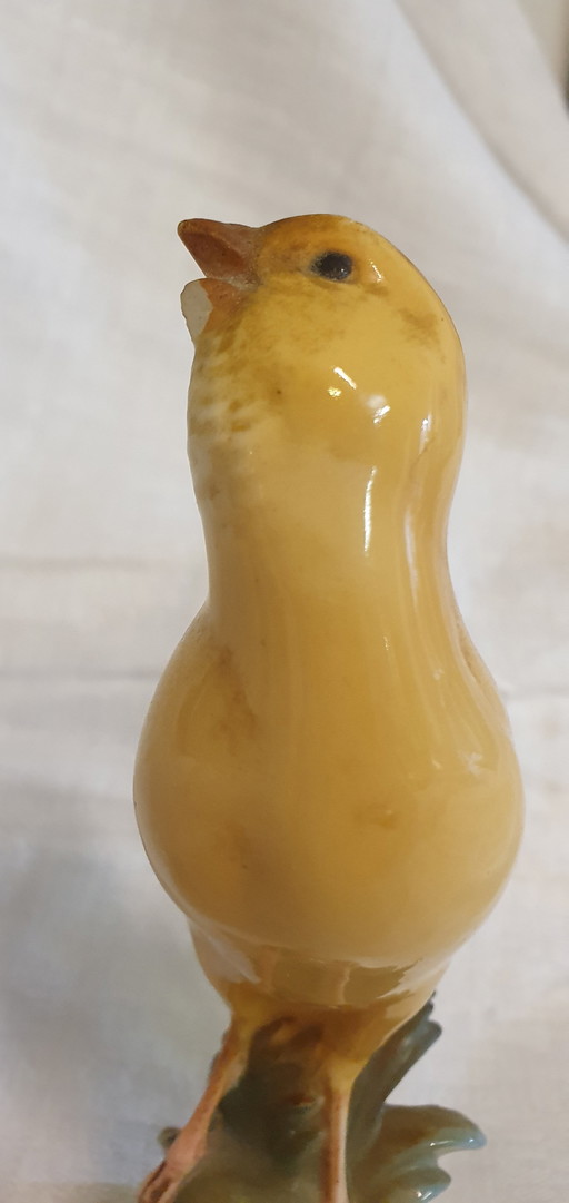 Canary of Nymphenburg