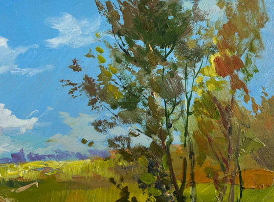 Image 1 of Original Oil Painting Summer Lake Landscape Take a swim in a summer lake