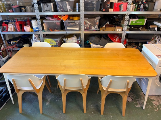 Gispen Dining set 240x090 – Wood, Plastic (photo 2 of 6)